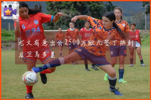 尤文有意出价2500万欧元签下热刺后卫乌多基