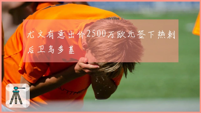 尤文有意出价2500万欧元签下热刺后卫乌多基